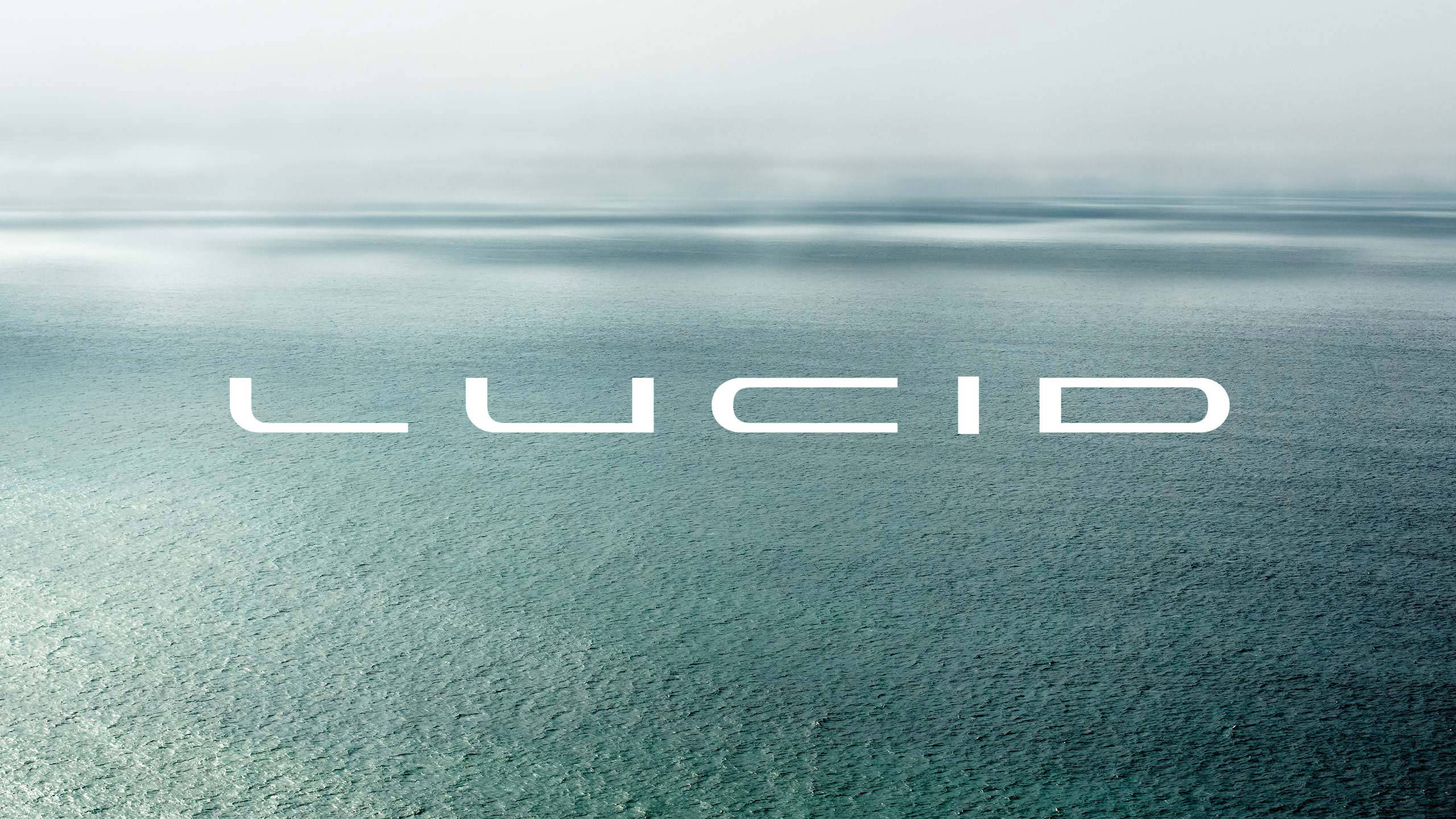 Image result for lucid motors logo