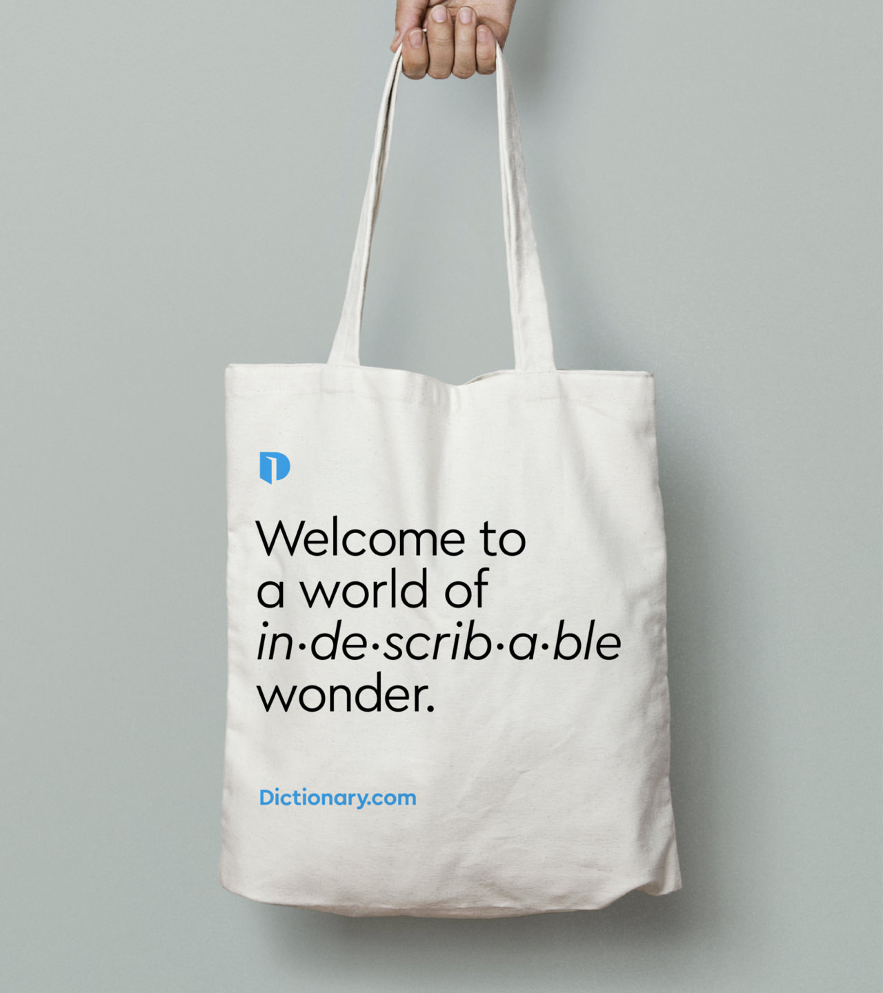 Tote Bag | Definition | Dictionary-Collection